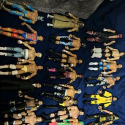 Wwe Action Figures