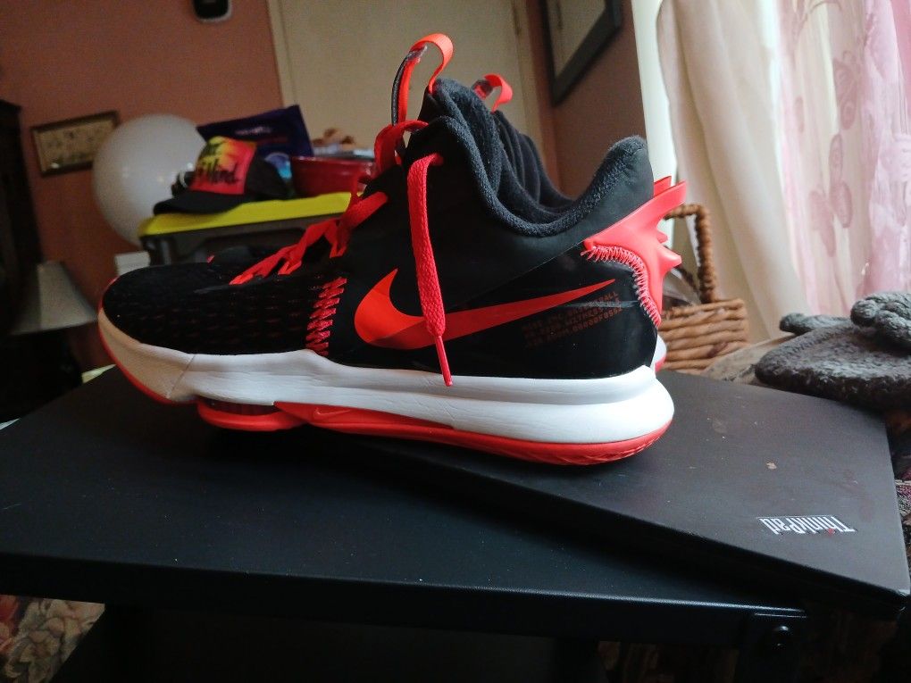 LeBron James Basketball Shoes