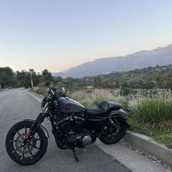 2022 Harley Davidson Iron 883 (Sportster)