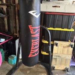 Everlast Punching Bag with Stand