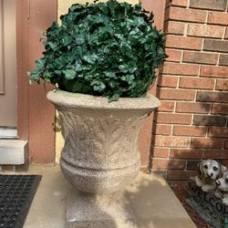  Very  Gorgeous  Heavy Cement pot With  Plants