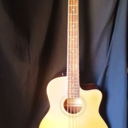De Rosa Acoustic Electric Bass