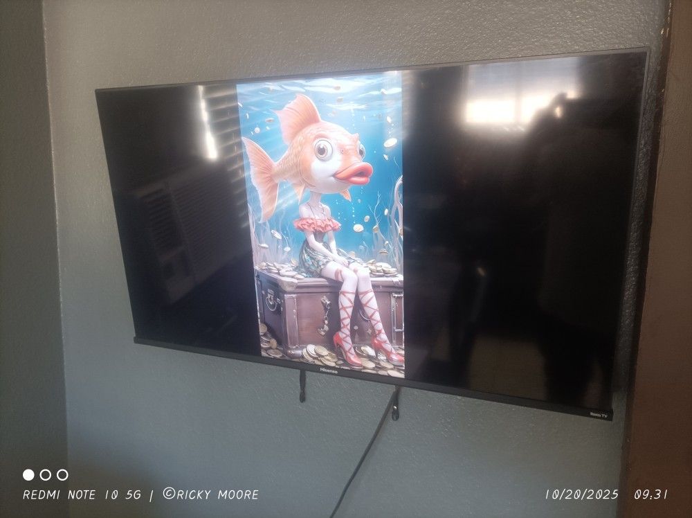 43" Hisense Flat Screen TV