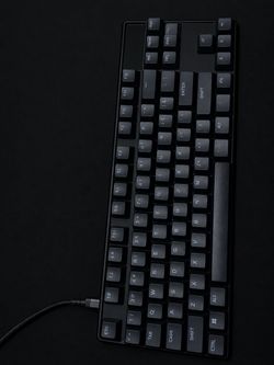 Apex pro tkl (pro gaming keyboard)