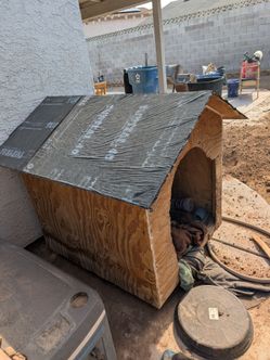Dog house