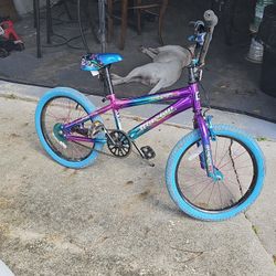 Kids Bike. Great Condition. $30