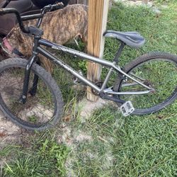 Diamondback Bicycle 