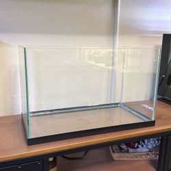10 Gallon Rimless Aquarium 
