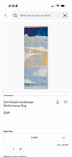 West elm - Sun - kissed performance entryway rug