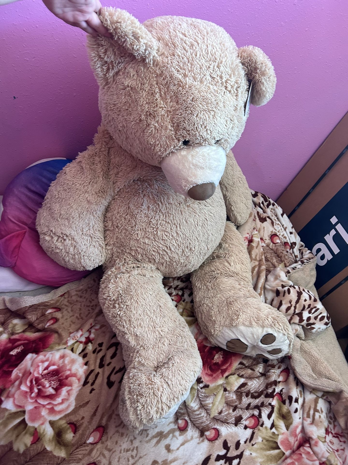 5 Foot Tall Teddy Bear