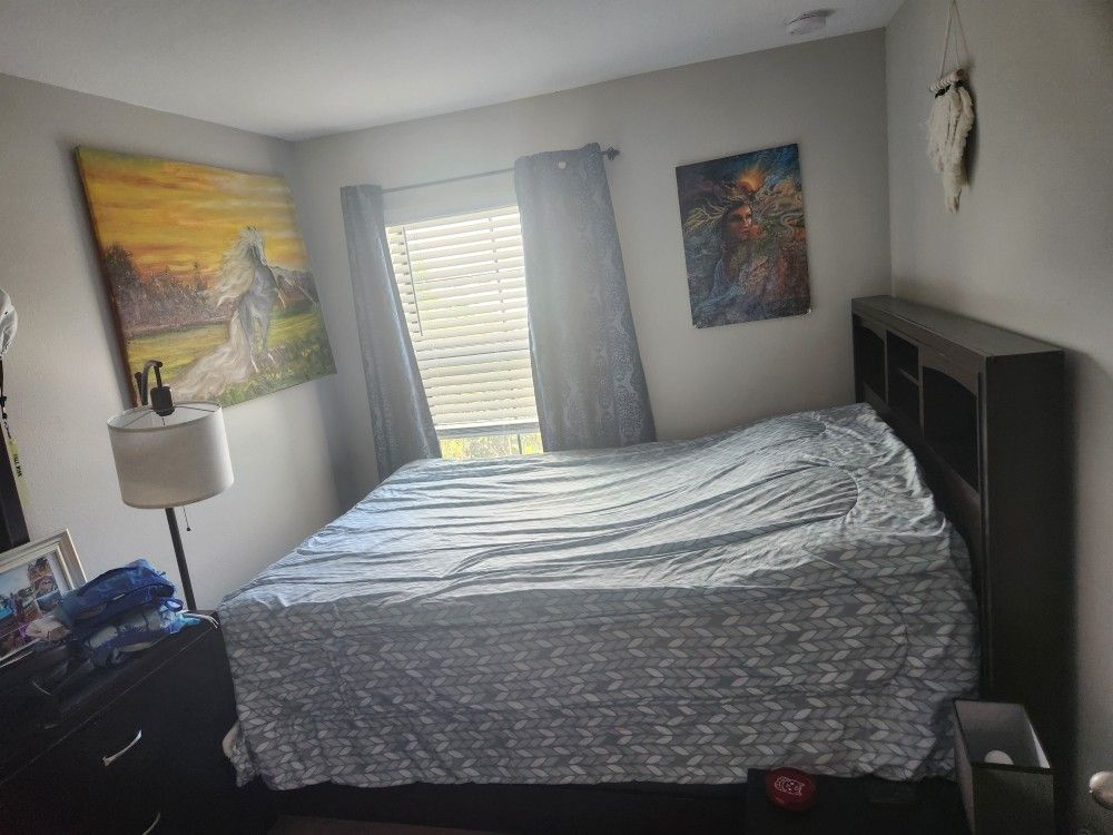 QUEEN Sized Bed Frame, Mattress, And Box Spring!