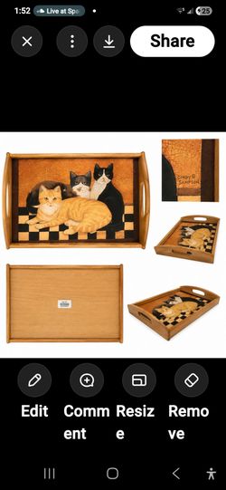 Vintage Cindy Sampson Country Cats Wooden Serving Tray Folk Art Signed