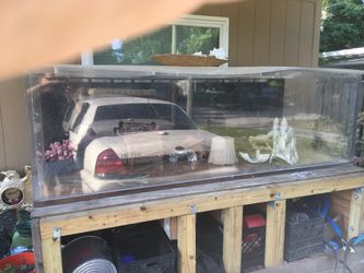 500 gallon acrylic Fish Tank (BULLET PROOF)