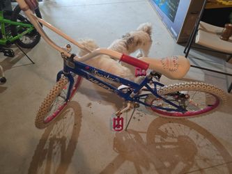 Seastar Huffy Bike 12"