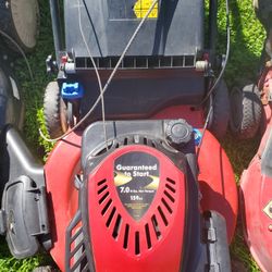 Toro