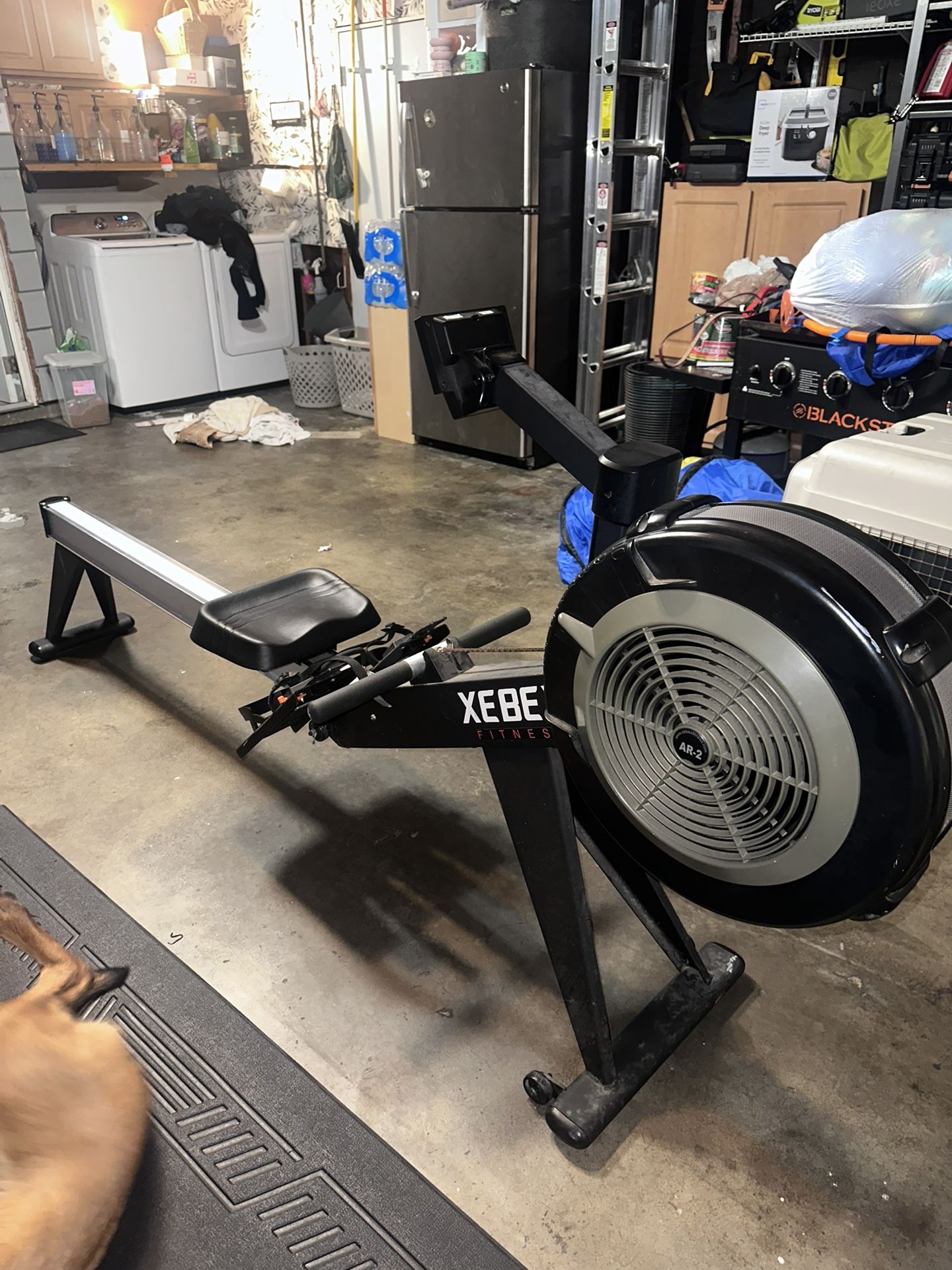 Xebex rower