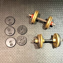 Pair Dumbbells 