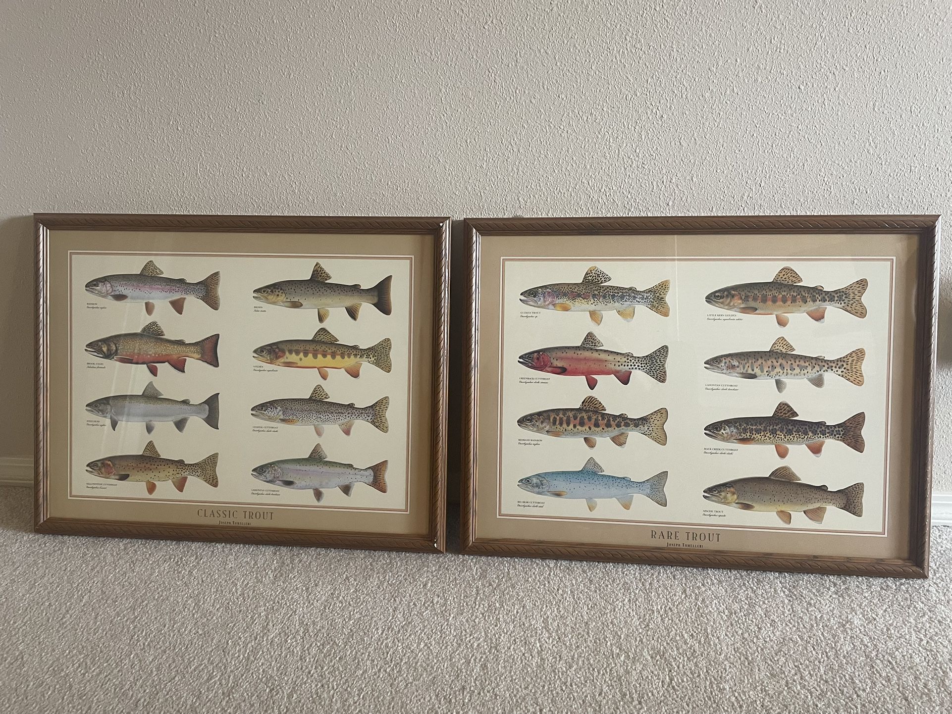 Pair Of Framed Trout Pictures