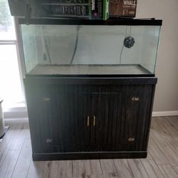 Fish Tank and Filter 
