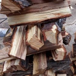 Dry Firewood 🔥 🪵🪵🪵🔥 $1 Each