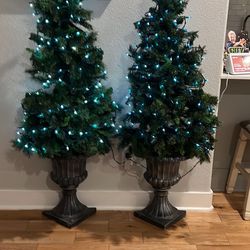 Set If Two Christmas Trees 