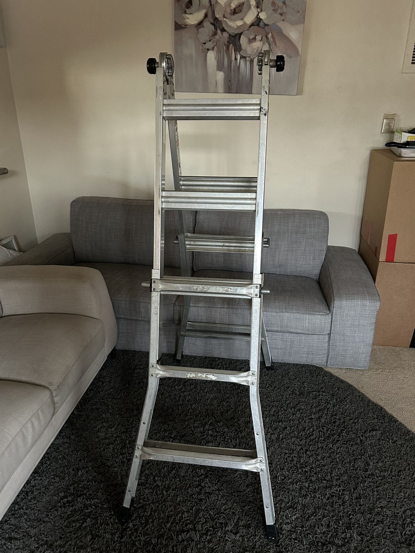 Heavy Duty Ladder