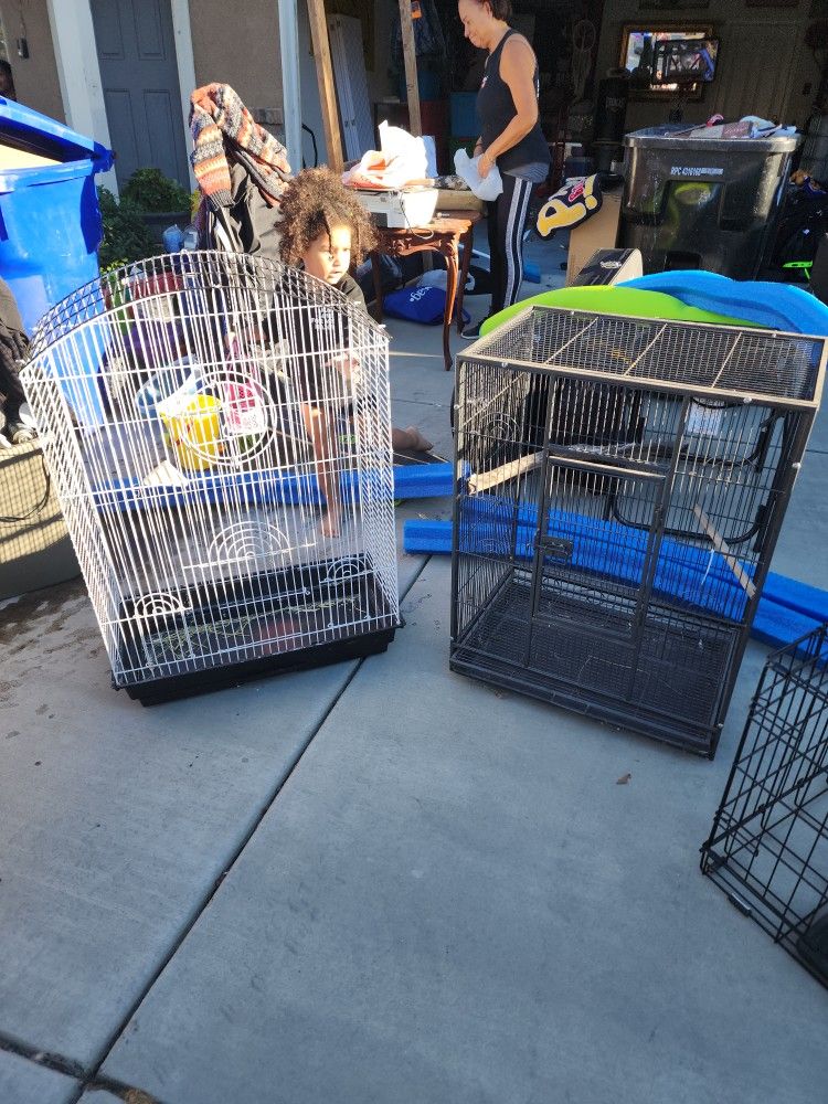 Bird Cages
