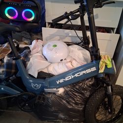 Electric bike  WindHorse folding bike