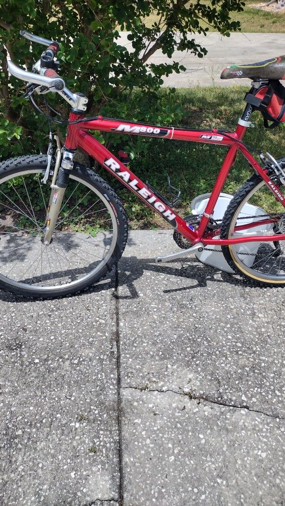 Men's Raleigh Mountain Bike . Model M -800.