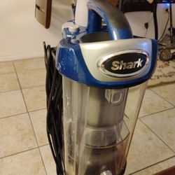  Shark Duo Runs Great  $125