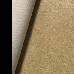 Carpet  Clean Normal Wear We Remodeled 10x 20
