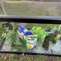 Fish or Terrarium Starter Kit