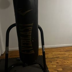 Boxing Bag And Speed Bag Great Workout And For A Great Price 