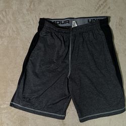 Under Armour Shorts Men’s Large Gray