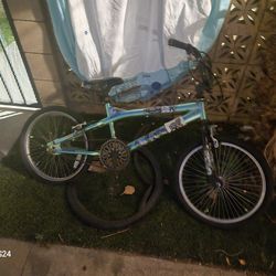 Free Need Gone Asap