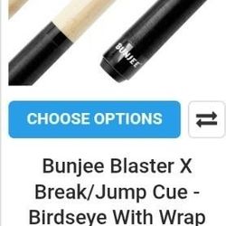 Pool Sticks Two Of Them And A Vincitore Pool Sticks Carrier 