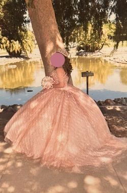 Quinceañera Dress Size:10