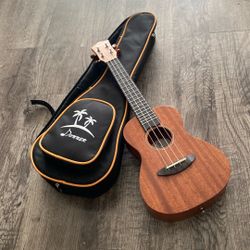 Donner Concert Ukulele