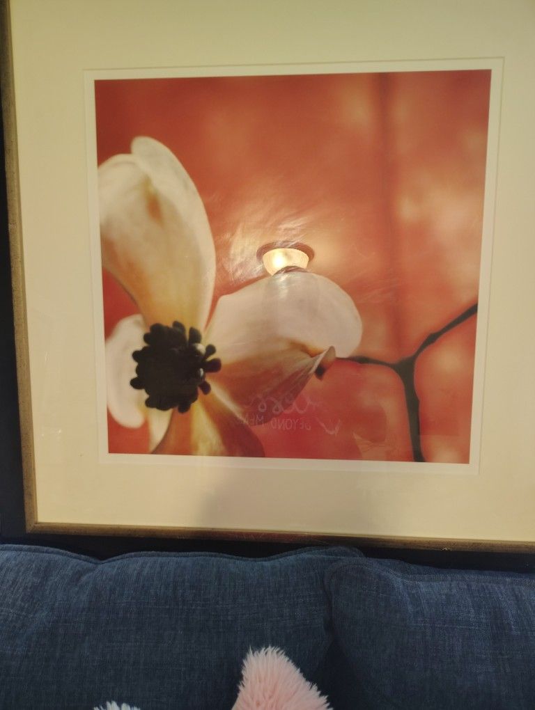 A BEAUTIFUL WORK OF ART FLOWER PICTURE