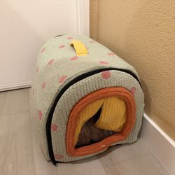 Brand New Cat Home