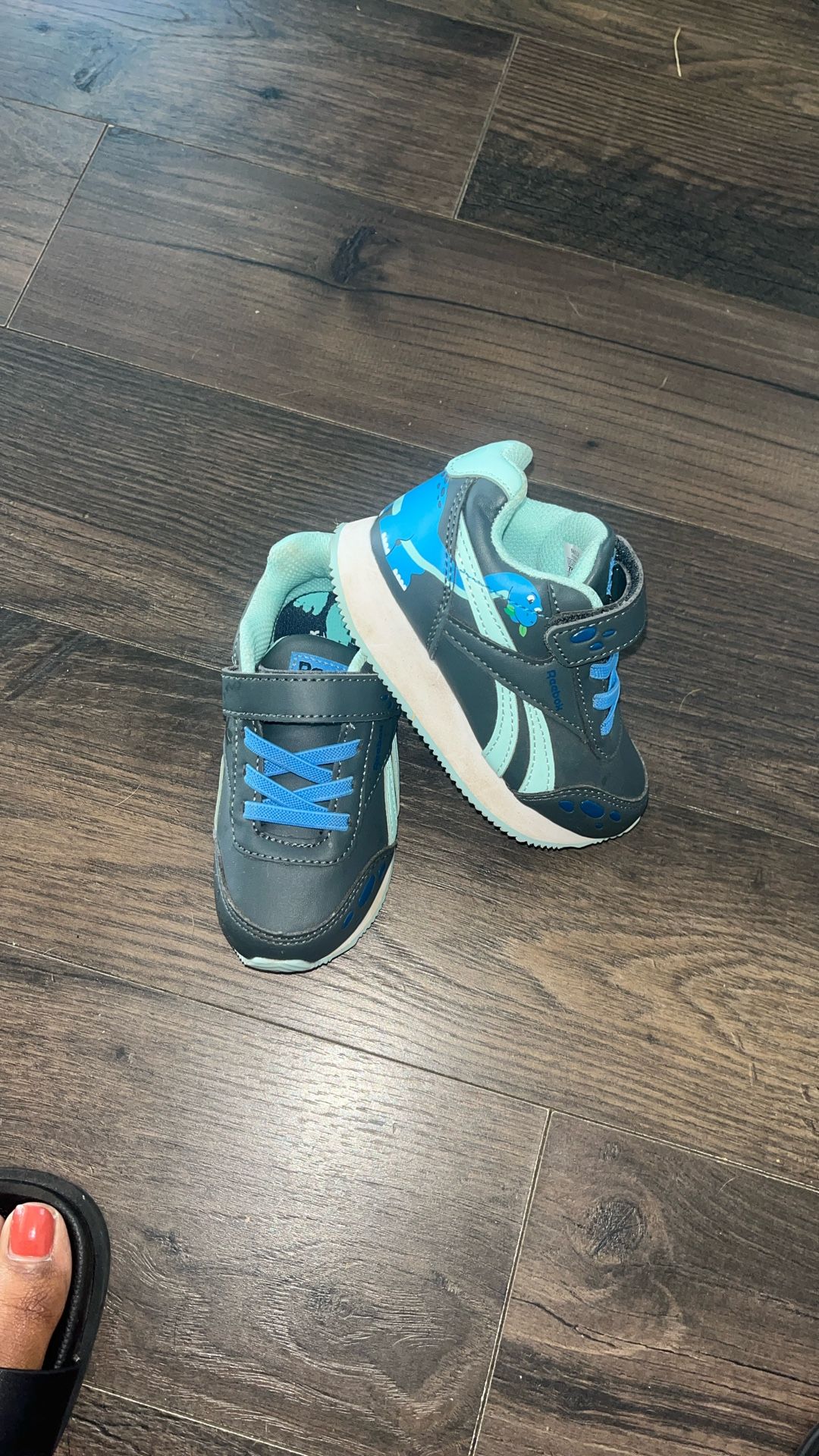 Dinosaur Reebok  Shoes Size 7