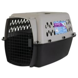 Dog Kennel 
