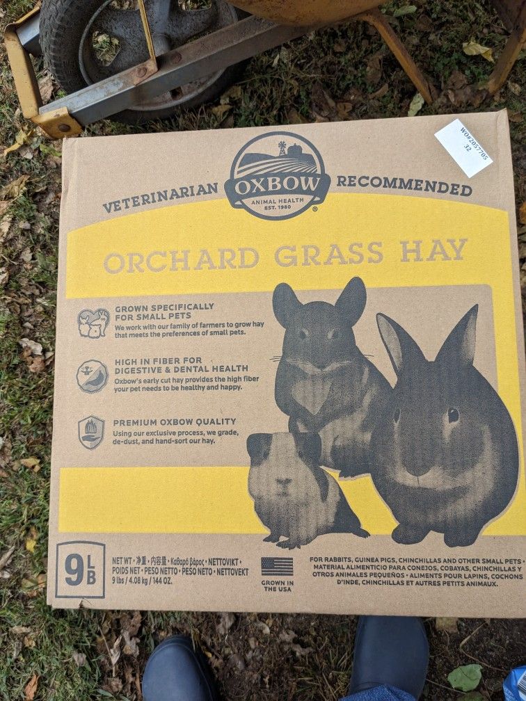 Oxbow Orchard Grass Hay Small Animal Food, 9-lb bag