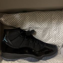 Jordan 11s  Gammas Size 9.5 Brand New
