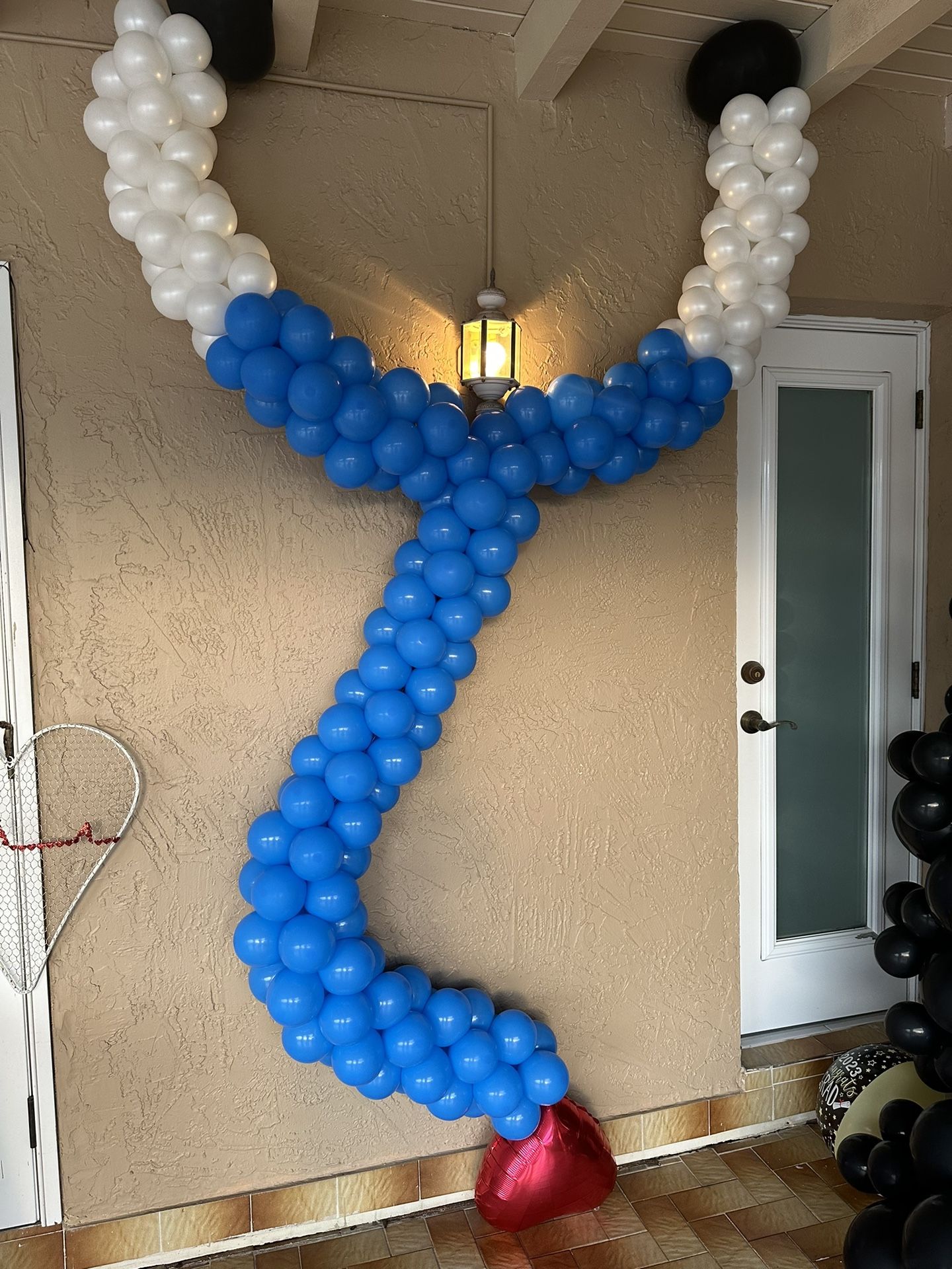 Stethoscope Balloon Arch