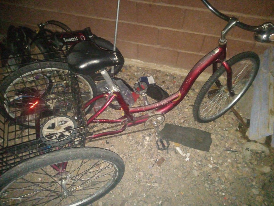 Schwinn Trike