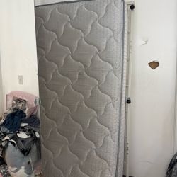 Twin Mattresses Free Comes With Bed Frame