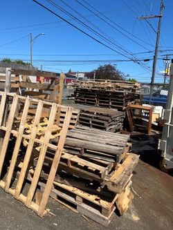Free wood pallets (in store)