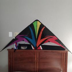Sky Dog Kite Thunder Struck Rainbow