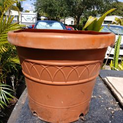 House Plant Pot Large